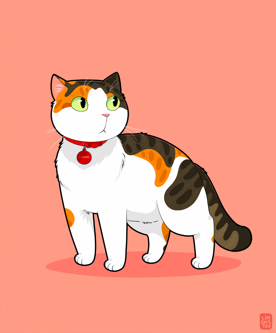 Lingvistov Illustration